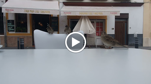 37584 taberna los terceros 1