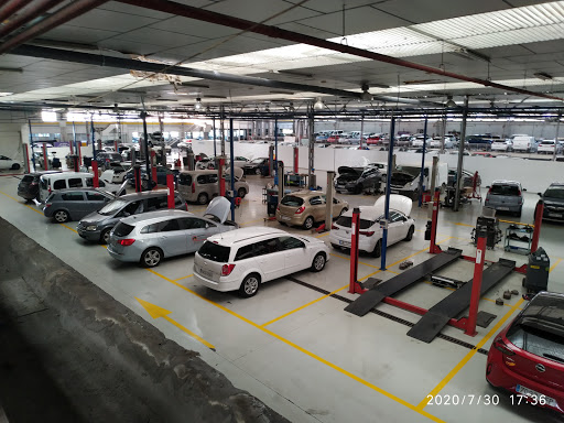 38811 terryauto opel