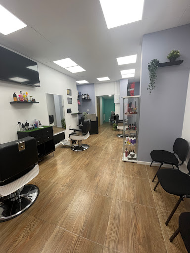 38931 the crazy barbers 1