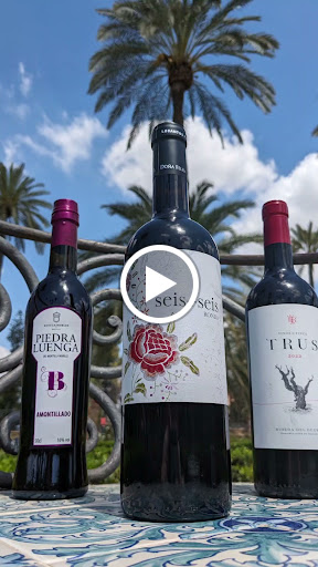 39852 vinalium sevilla 1