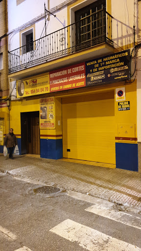 40036 vulcanizados pino montano