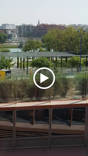 40138 yo10 sport club sevilla 1