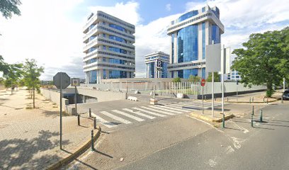 5972 acta gestion de activos 1