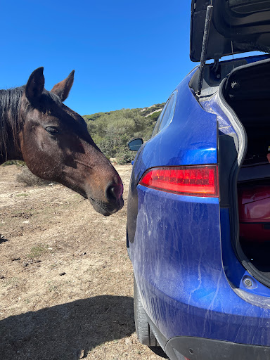 6280 alamo rent a car 8211 aeropuerto de sevilla 1