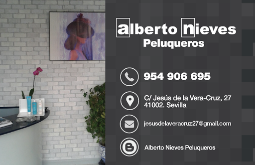 6314 alberto nieves peluqueros