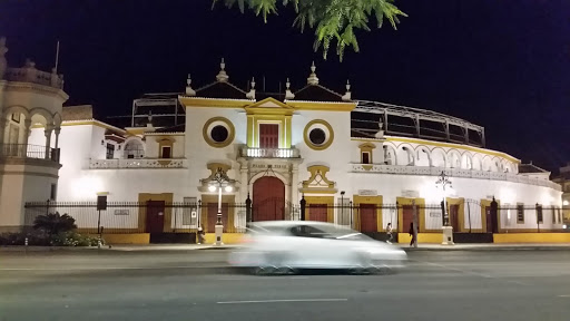 7399 apartamentos puerta de la maestranza