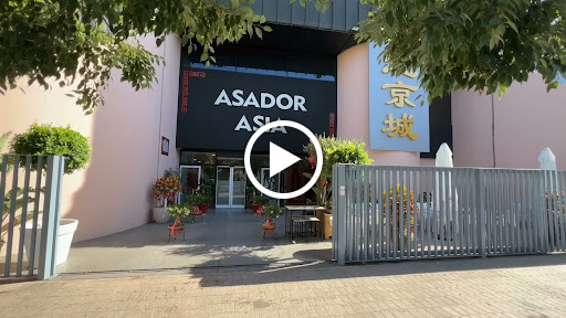 7641 asador asia 1