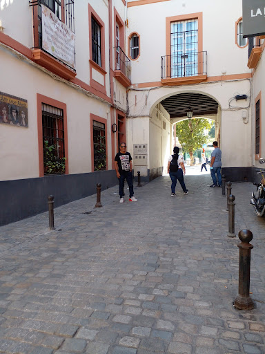 7883 aure luque estilista 1