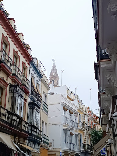 8279 bv asesores inmobiliarios