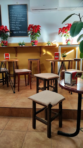 8602 bar birreria el nino 1