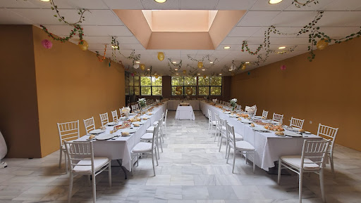 8747 bar cafeteria nueva venecia