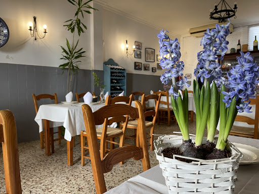 8873 bar casa maera 1