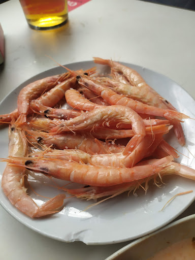 10196 bar los dos hermanos 1