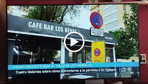 10217 bar los nenes 2