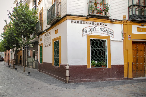 10414 bar paco gongora 2