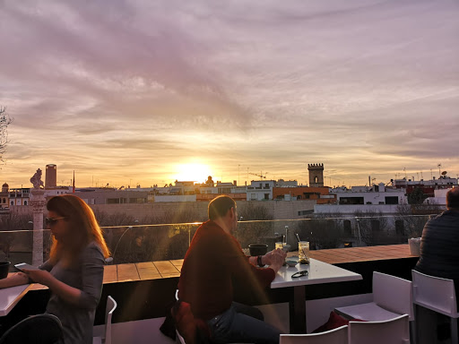 11066 bar terraza patio alameda 2