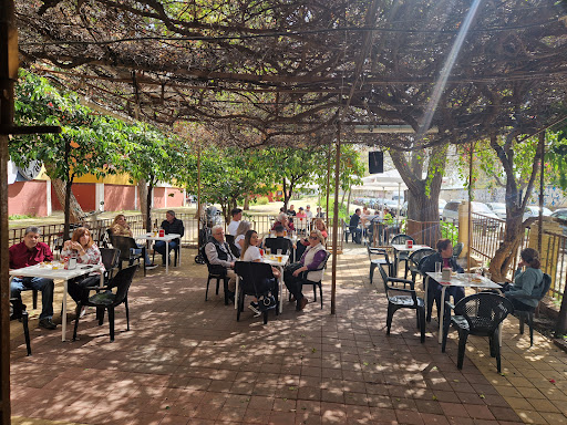 11072 bar terraza quintanilla