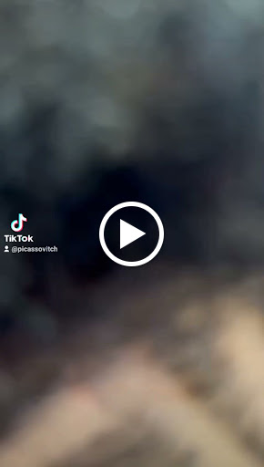 11319 barberia lucas 1