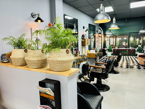 11361 barberia tres14 1