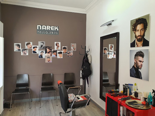 11388 barberos rd nervion 2