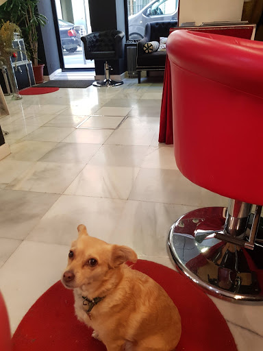 11533 belco peluqueria y centro estetico 1