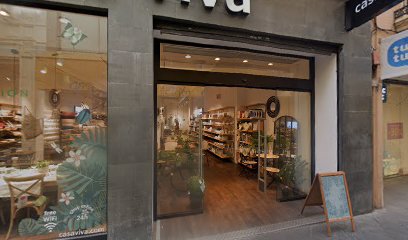 11678 bike tours sevilla rent a bike sevilla daily bike tour sevilla rutas en bici sevilla 1