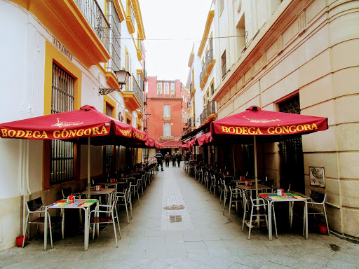 11921 bodega gongora
