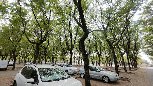 12354 bolsa de aparcamiento cartuja