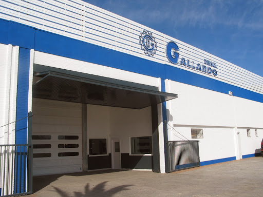 12391 bosch car service diesel gallardo