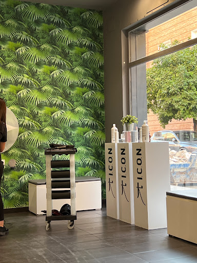 12413 botanika niebla