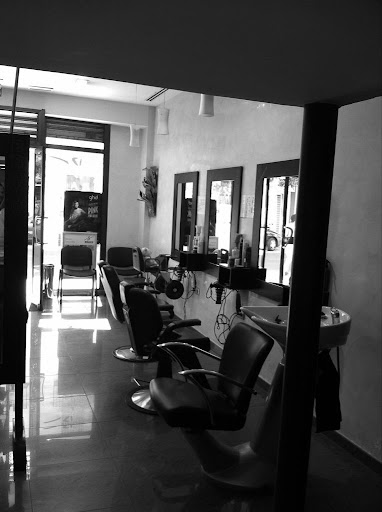 12477 bravo estilistas 2