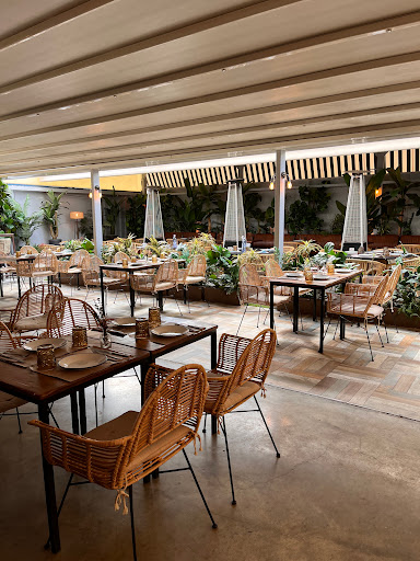 12781 burro canaglia barresto 8211 sevilla este 2