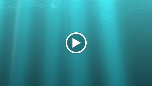 12900 c. doctores lasso simarro 3 3o 1