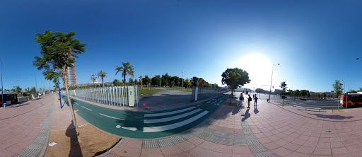 12900 c. doctores lasso simarro 3 3o 2