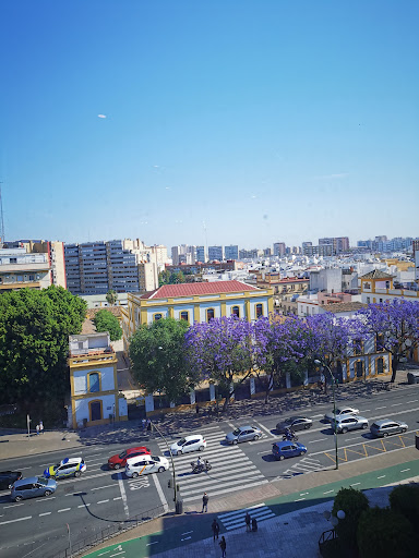 12925 c. feria 89 98 2