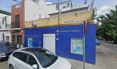 13008 c. maestro falla 28 1