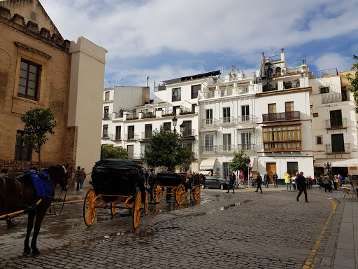 13955 cafeteria bartimero