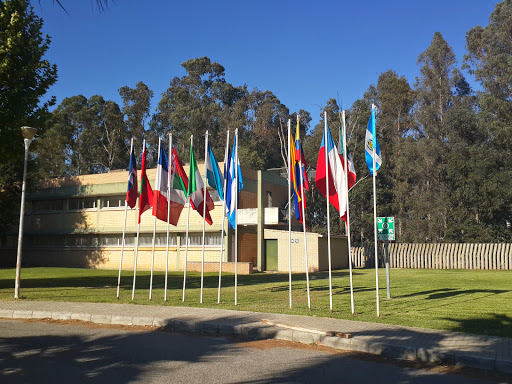 13973 cafeteria blanco white 1