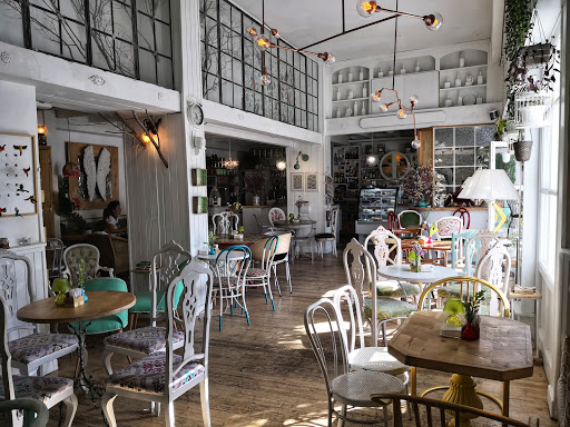 14039 cafeteria colibry 2