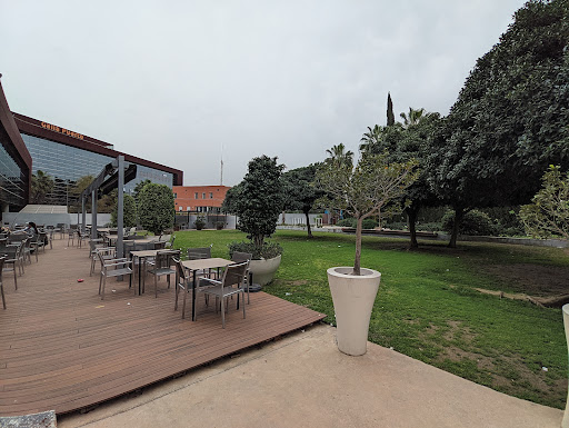14175 cafeteria galia puerto 1