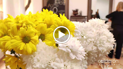 14626 calderon peluqueria 1