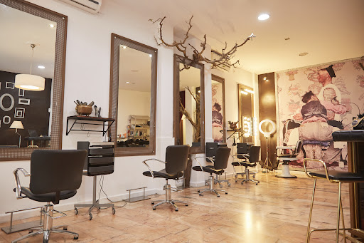 14626 calderon peluqueria