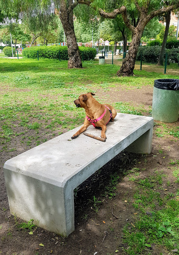 14813 canino park 1