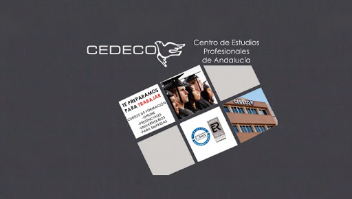 15545 cedeco 1