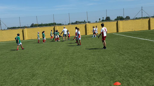 15766 centro deportivo san jeronimo rugby