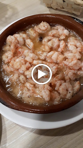 15900 cerveceria alcosa 1