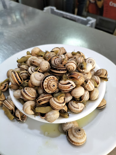 16072 cerveceria el nuevo omaita 1