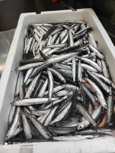 16193 cerveceria karakol 1