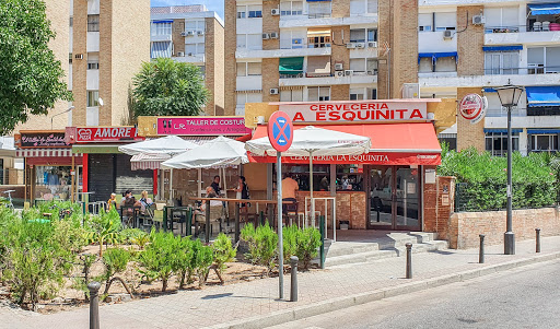 16250 cerveceria la esquinita 2
