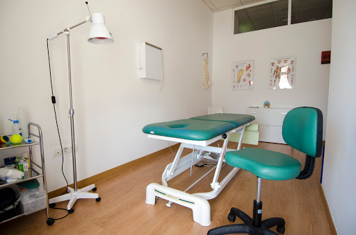 16915 clinica de fisioterapia y osteopatia ecofisio